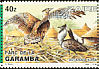 Kori Bustard Ardeotis kori  1984 Garamba national park 8v set