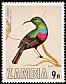 Shelley's Sunbird Cinnyris shelleyi