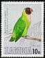 Black-cheeked Lovebird Agapornis nigrigenis  1977 Birds of Zambia 