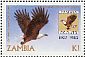 African Fish Eagle Icthyophaga vocifer