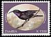 Amethyst Sunbird Chalcomitra amethystina  1994 Sunbirds 