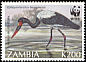 Saddle-billed Stork Ephippiorhynchus senegalensis  1996 WWF 