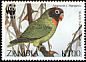 Black-cheeked Lovebird Agapornis nigrigenis