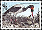 Saddle-billed Stork Ephippiorhynchus senegalensis