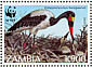 Saddle-billed Stork Ephippiorhynchus senegalensis