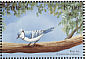 Blue Jay Cyanocitta cristata  1999 Flora and fauna 12v sheet