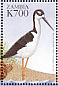 Black-necked Stilt Himantopus mexicanus