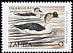 Knob-billed Duck Sarkidiornis melanotos  1999 Definitives 