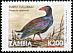 African Swamphen Porphyrio madagascariensis  1999 Definitives 