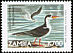 African Skimmer Rynchops flavirostris  1999 Definitives 