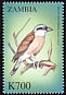 Red-backed Shrike Lanius collurio