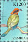 Rufous Motmot Baryphthengus martii