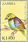 Green-headed Tanager Tangara seledon