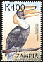 Great Hornbill Buceros bicornis