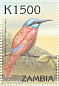 Northern Carmine Bee-eater Merops nubicus