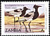 Blacksmith Lapwing Vanellus armatus  2001 Definitives 