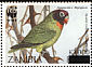 Black-cheeked Lovebird Agapornis nigrigenis