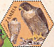 Peregrine Falcon Falco peregrinus  2004 SAPOA Sheet