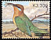 Böhm's Bee-eater Merops boehmi