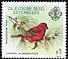 Red Fody Foudia madagascariensis  1980 Birds 