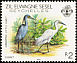 Dimorphic Egret Egretta dimorpha  1983 Birds 