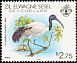 Malagasy Sacred Ibis Threskiornis bernieri  1983 Birds 