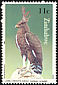 Long-crested Eagle Lophaetus occipitalis  1984 Birds of prey 