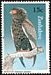 Bateleur Terathopius ecaudatus  1984 Birds of prey 