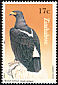 Verreaux's Eagle Aquila verreauxii  1984 Birds of prey 