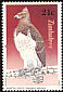 Martial Eagle Polemaetus bellicosus