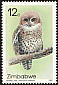African Barred Owlet Glaucidium capense  1987 Owls 