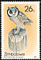 Northern White-faced Owl Ptilopsis leucotis  1987 Owls 