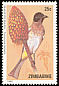 Dark-capped Bulbul Pycnonotus tricolor  1992 Birds 