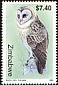 Western Barn Owl Tyto alba