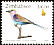 Lilac-breasted Roller Coracias caudatus  2000 Definitives 6v set