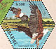 African Fish Eagle Icthyophaga vocifer