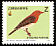 Red-headed Weaver Anaplectes rubriceps  2005 Birds of Zimbabwe 