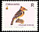 Crested Barbet Trachyphonus vaillantii  2005 Birds of Zimbabwe 