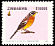 Golden-breasted Bunting Emberiza flaviventris  2005 Birds of Zimbabwe 
