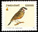 Cut-throat Finch Amadina fasciata  2005 Birds of Zimbabwe 