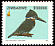 Giant Kingfisher Megaceryle maxima  2005 Birds of Zimbabwe 