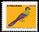 Purple-crested Turaco Gallirex porphyreolophus  2007 Birds of Zimbabwe 