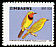 Gorgeous Bushshrike Telophorus viridis  2007 Birds of Zimbabwe 